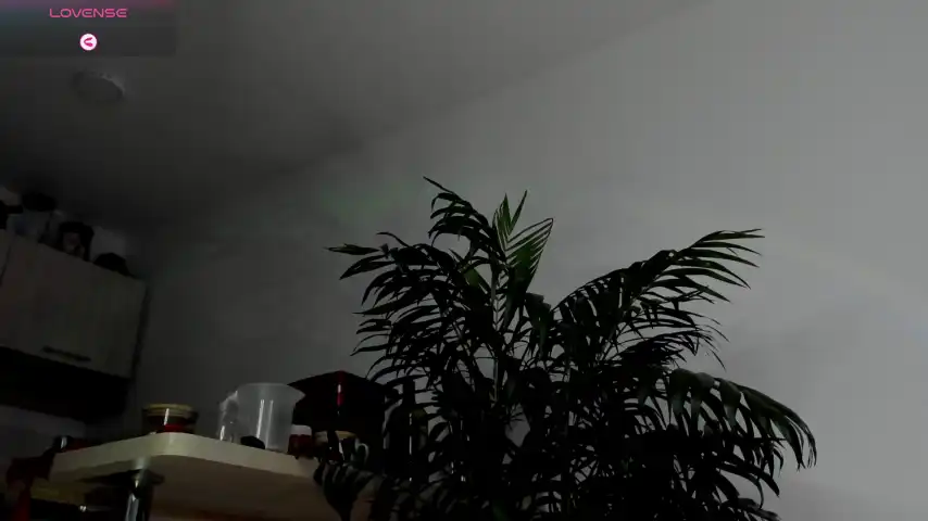 Wendymoah – [Stripchat] Anal Naked Slutty – 2025-04-12 10:21:40